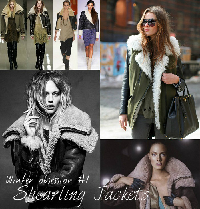 Shearling jackets and coats - It-Girl by Eleonora Petre [...]</p>
			</div>
			
							<div class=